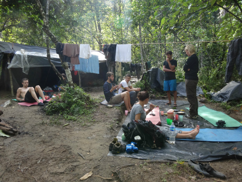 Jungle kamp