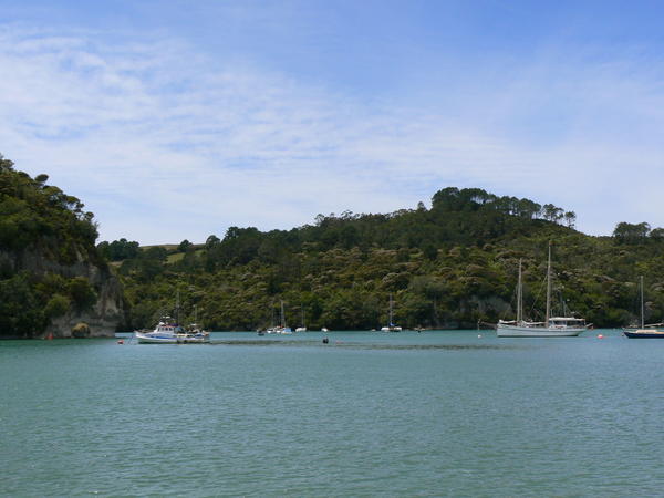 Whitianga Harbour