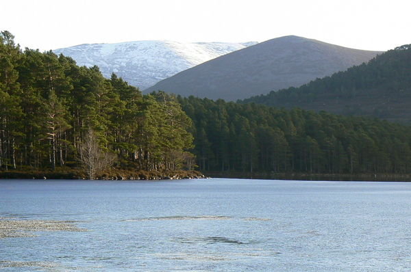 Loking across Loch an Eileen to the Cairgorms