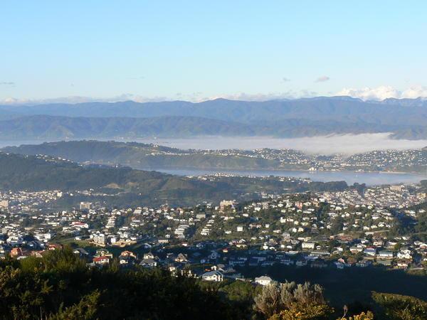 Fog clings to the Miramar Peninsula, Eastern suburbs