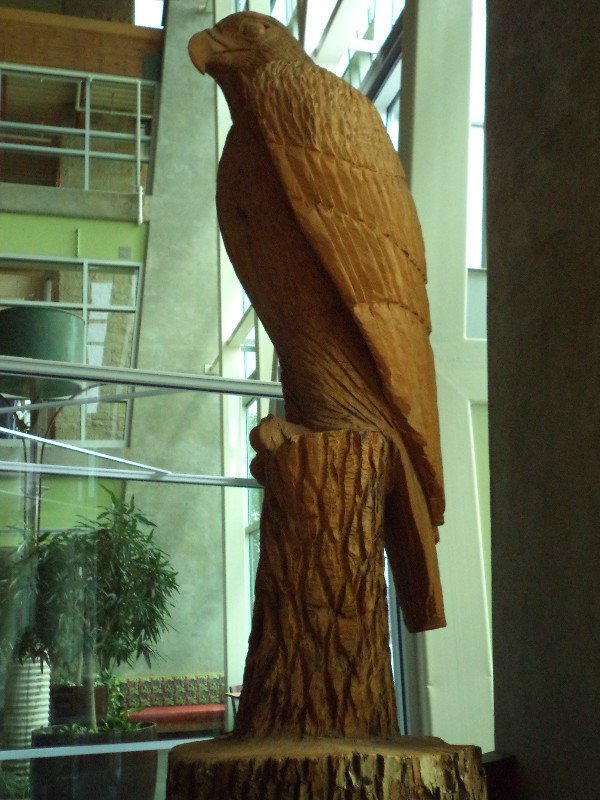 Falcon Carving