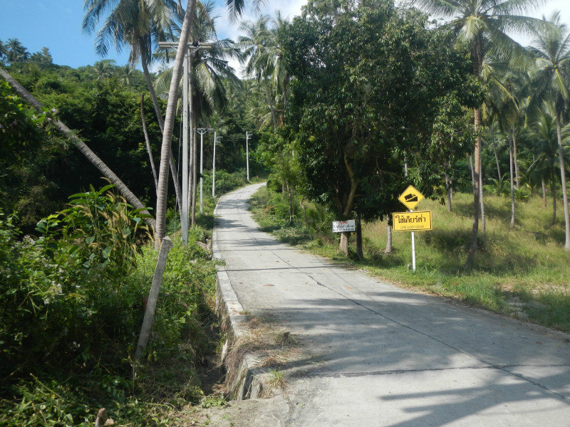 Back roads of Samui