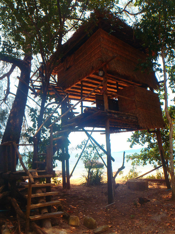 Treehouse #4 in all her glory