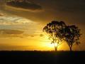 Queensland sunset