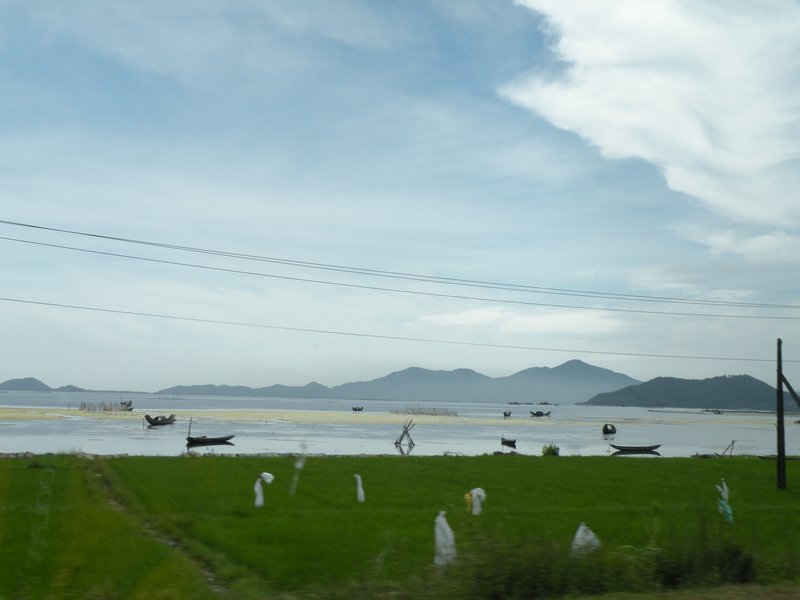 Rice Field and Lagoon