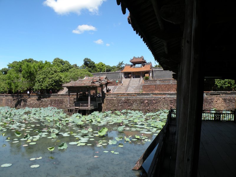 Lotus Pond