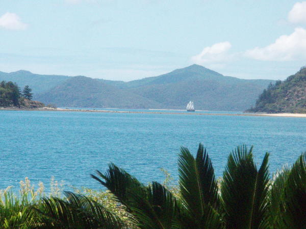 A view from Daydream Island