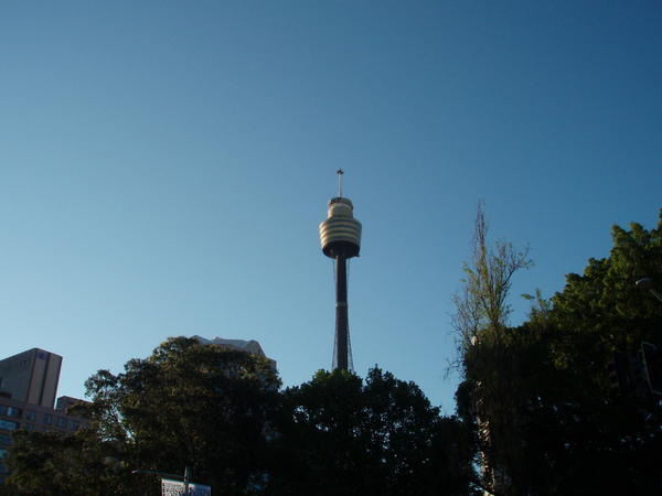 The AMP Tower
