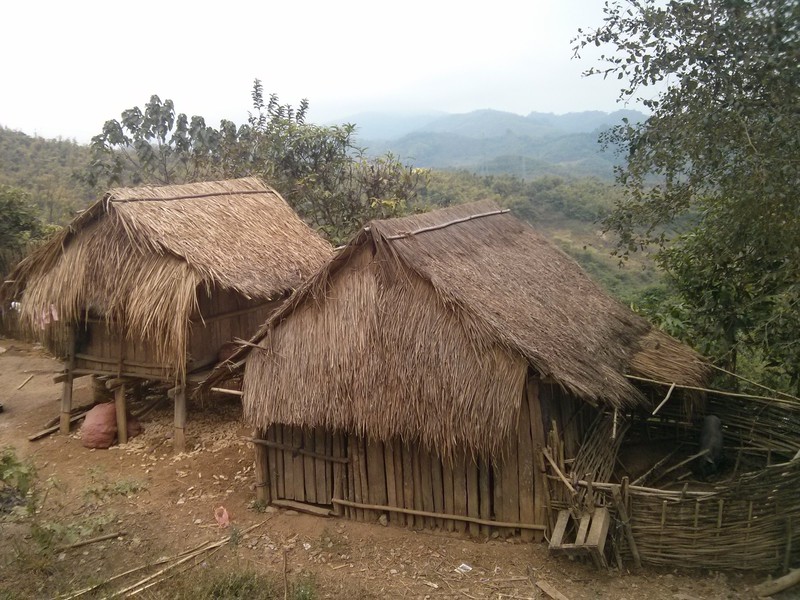 Lao Houses