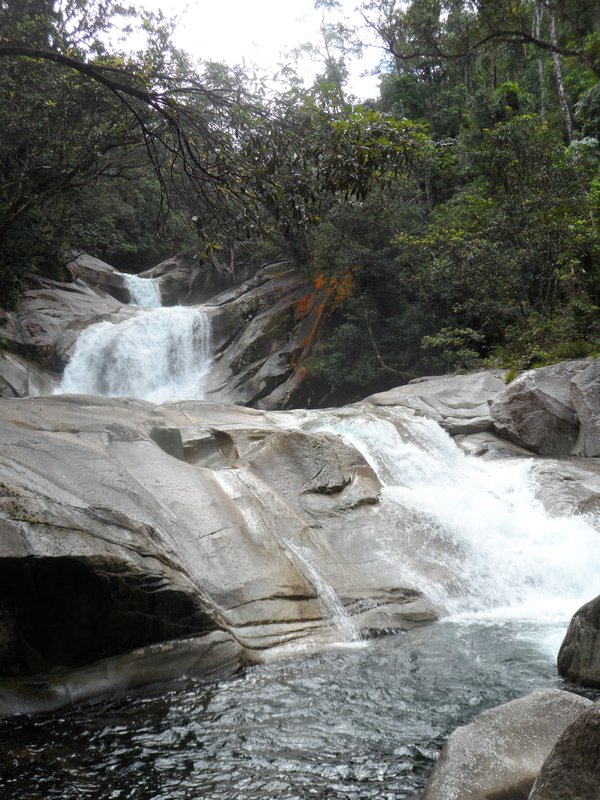 Jasmin falls (Wooroonooran park)