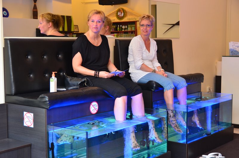 Fish therapy in Rhodes Town