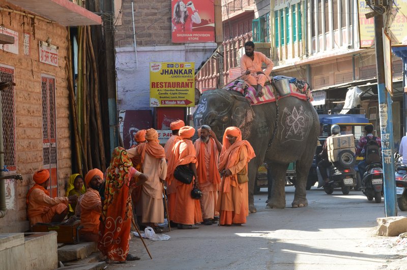 Elephant & Sadhus in Jodhpur