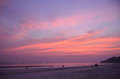 Beach no 7 Sunset - Havelock