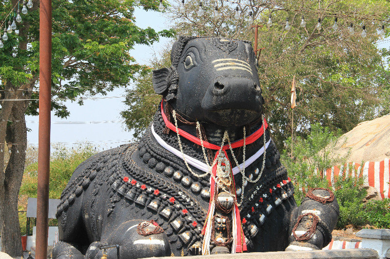 Nandi - the Bull, Mysore
