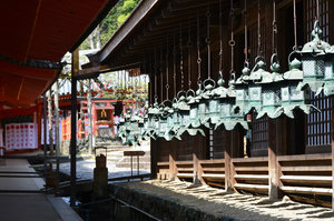 Bronze Lanterns, Kasuga-taisha, Nara