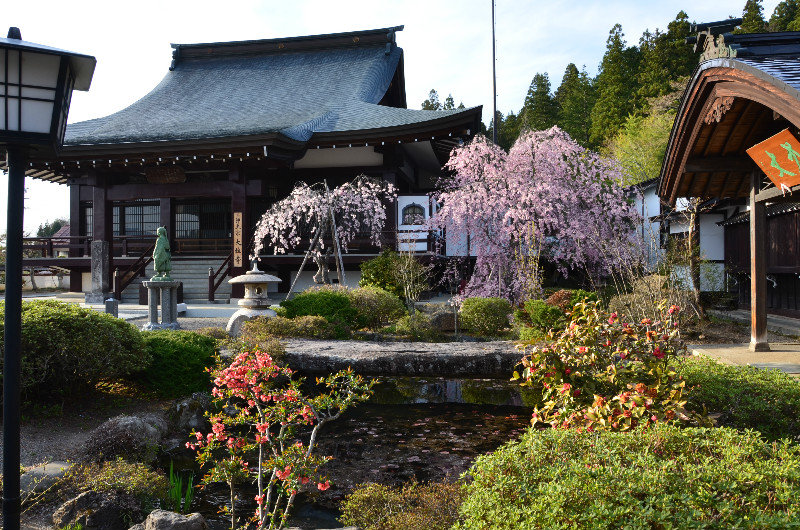 Tera Machi area Temple - Takayama