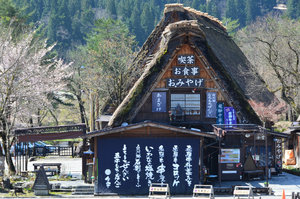 Traditional roof thatch - Shirakawa-go