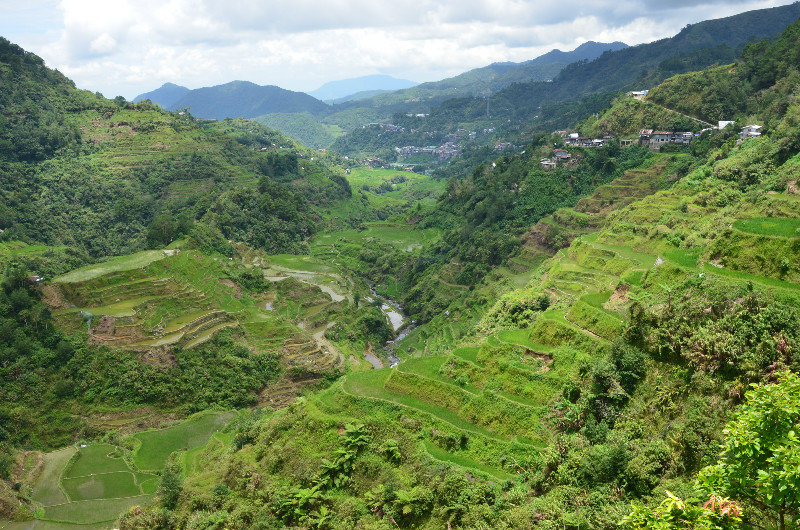 Banaue Landscape from the highest view point