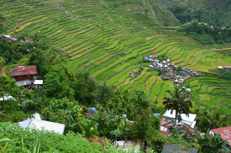 Batad Village among the rice terraces