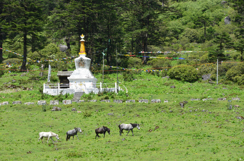 Yumthang stupa