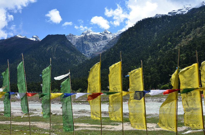 Prayer flags in the Yumthang Valley