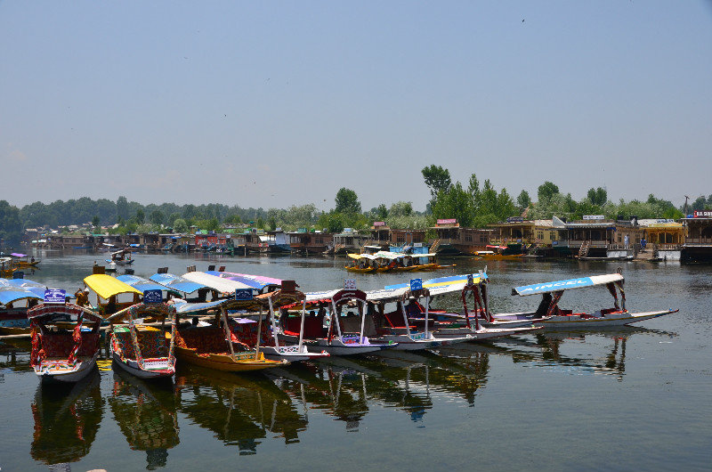 Dal Lake in all it's glory & colour