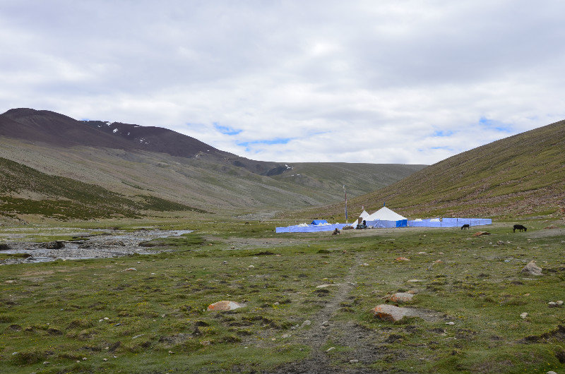 Nimaling Camp - at last - Mongolia we can skip now