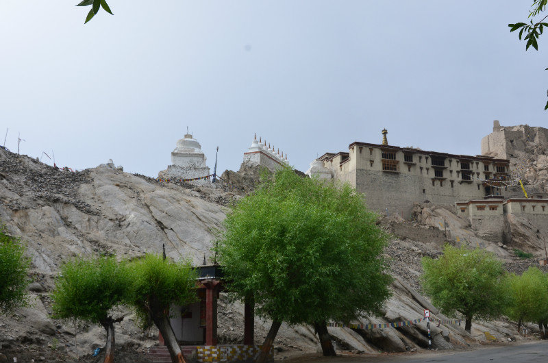 Shey Palace & ruined fort - Leh