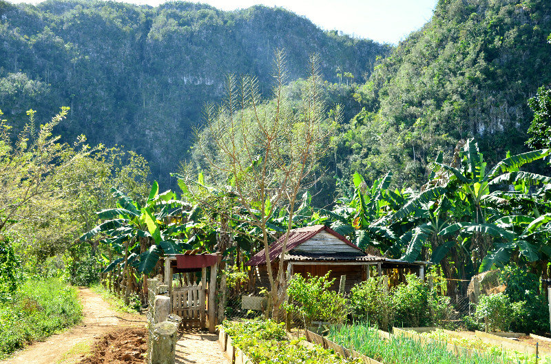 Farm in Valle Ancon Vinales