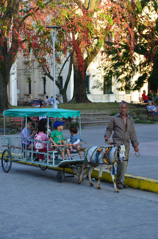 Kids goat ride in many Cuban towns in the evening