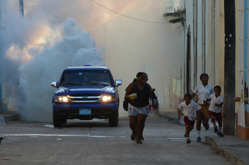 The Mosquito Busters - run for cover - Trinidad