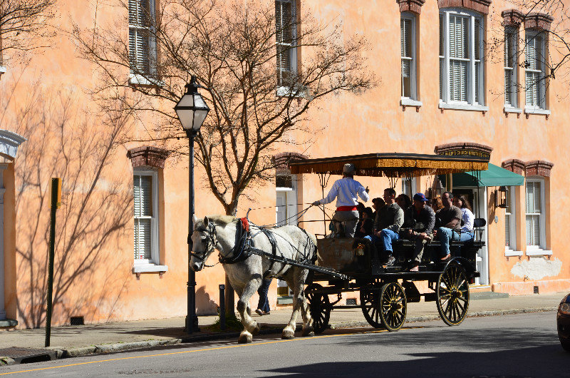 Horse drawn tours - all over