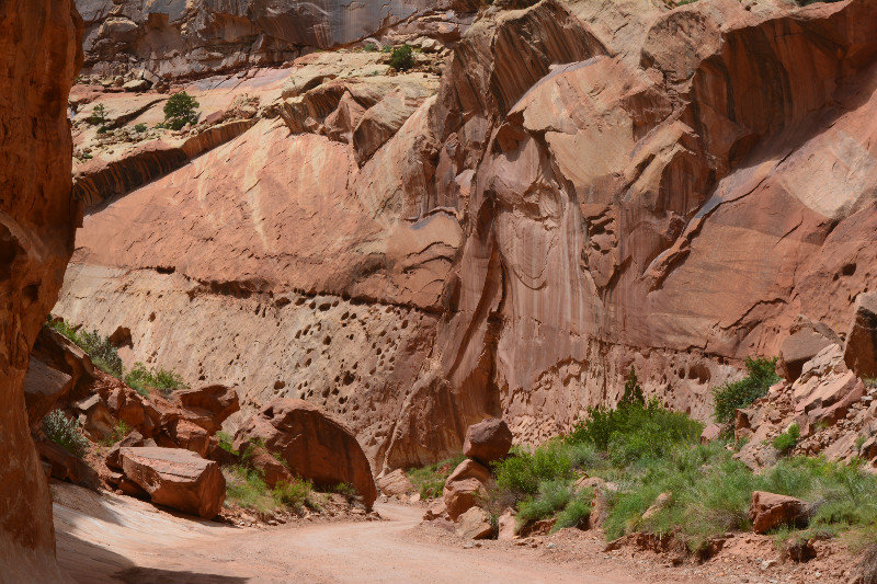 The must see scenic drive, Capitol Reef NP