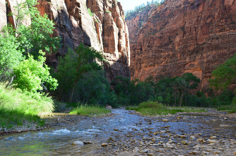 The River Walk - Zion NP