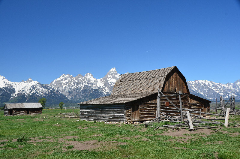 Old Mormon Cottages at Mormon Row - GT