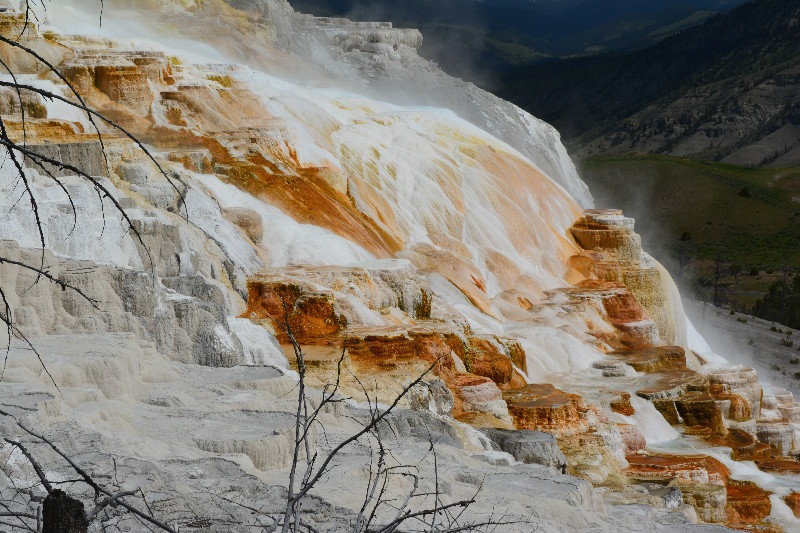 The Lower Terraces - Mammoth Hot Springs