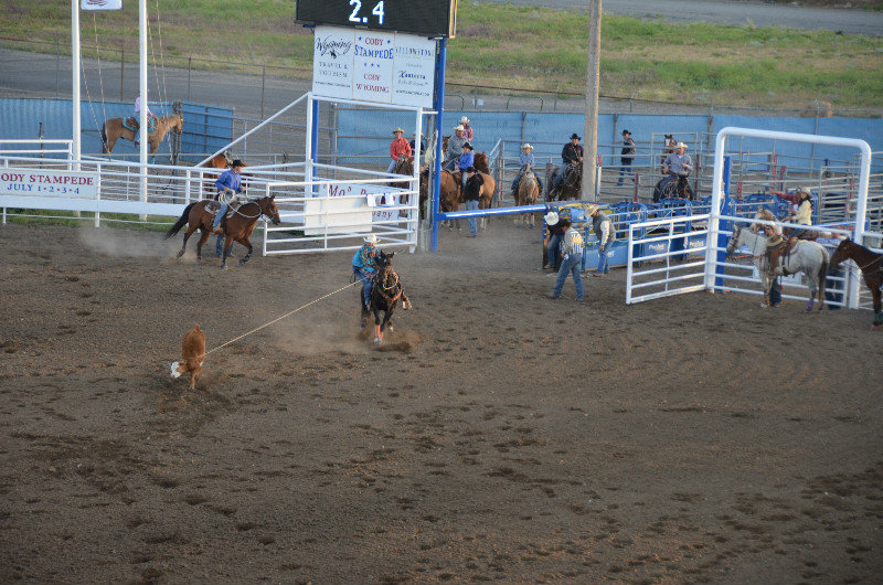 Coboy skills on show, Cody Rodeo