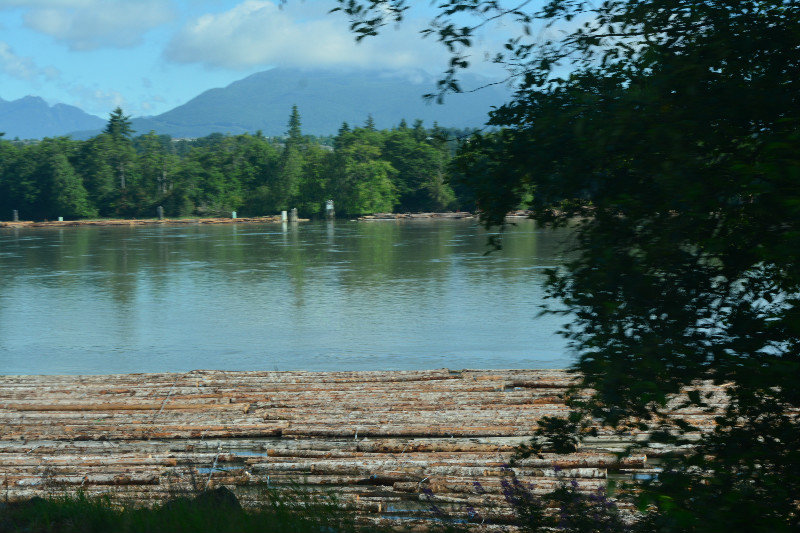 Logs stored on the river