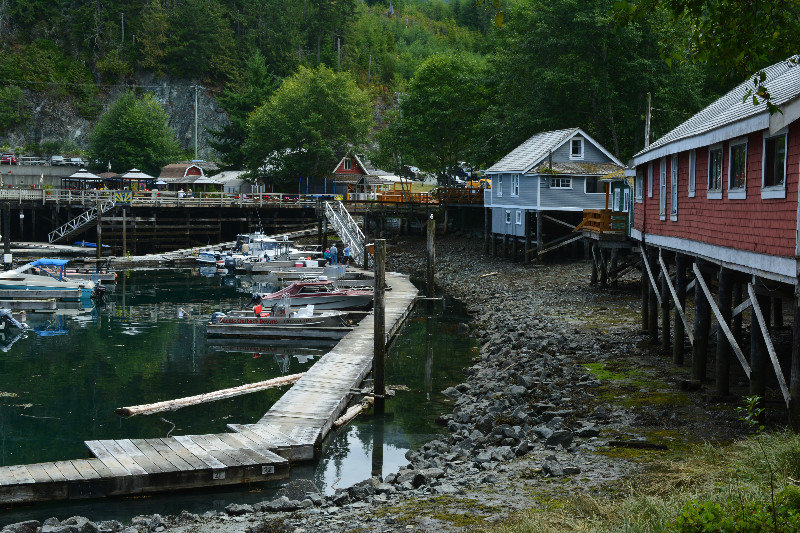 View of Telegraph Cove village from the pier
