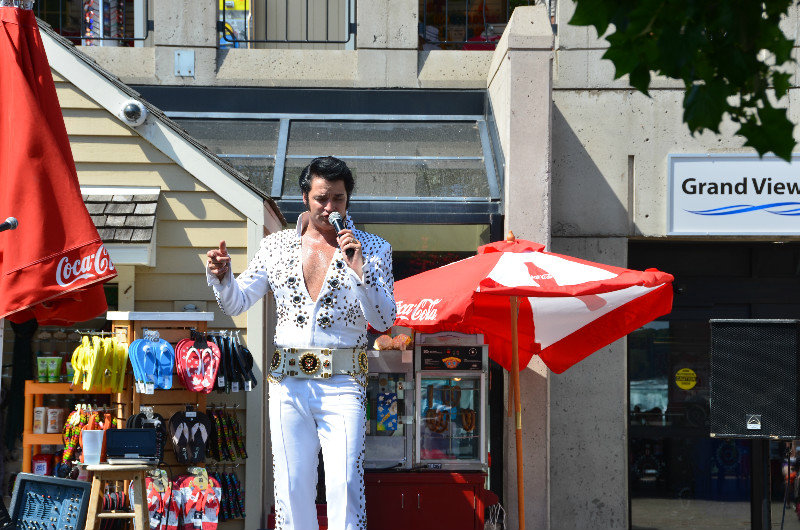 Elvis lives - but has forgotten how to sing. Niagara