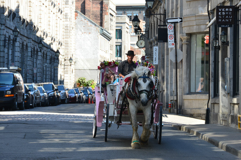 Horse drawn carriage - Old Montreal