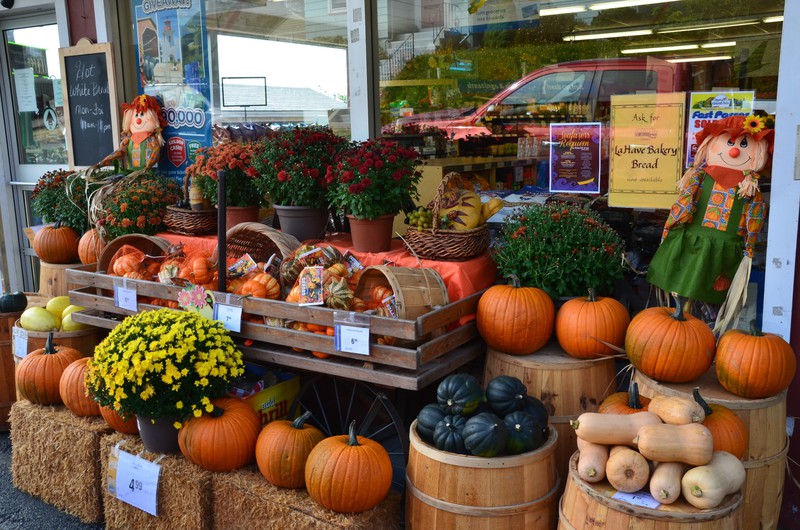 Pumpkin Season & Halloween around the corner, NS