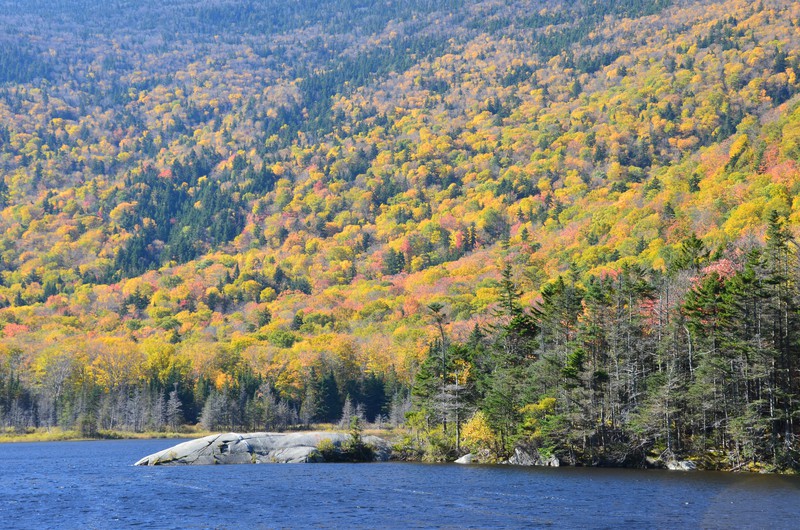 Autumn Colours - Maine