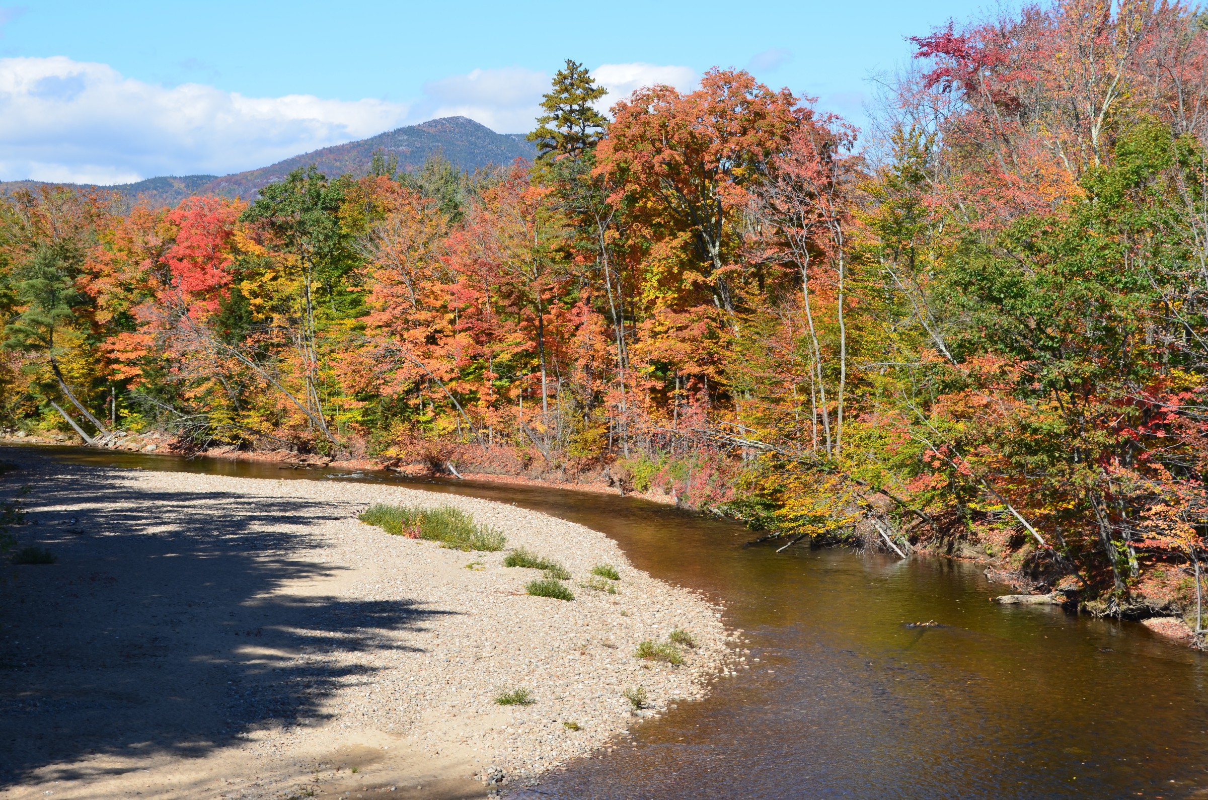 Colourful Mohawk Trail | Photo