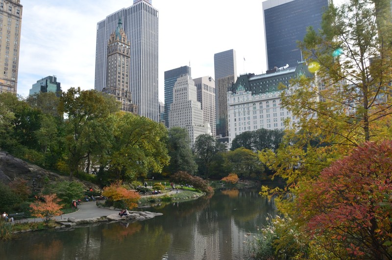 Central Park - Autumn colours