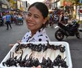 Fried scorpions anyone - Khao San Rd
