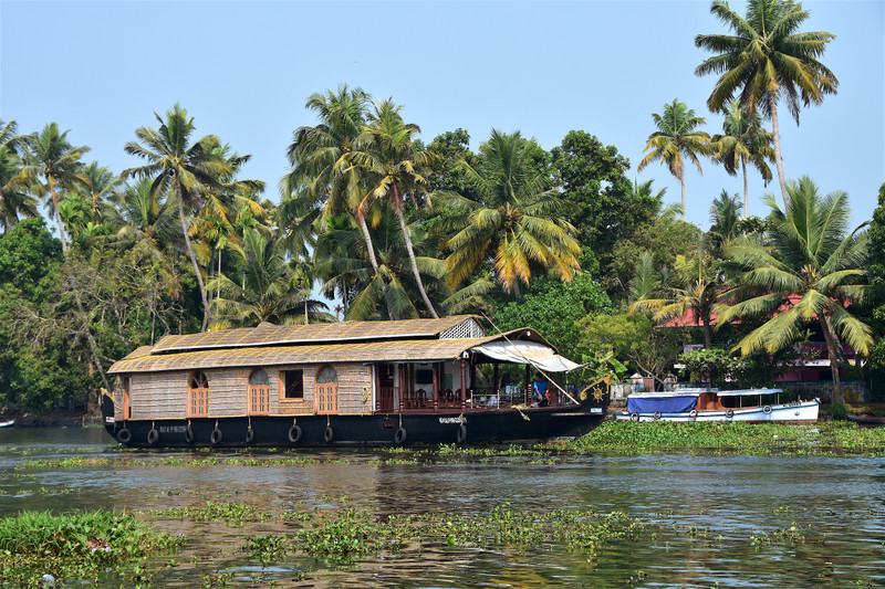 The blissful Backwater, Allepey, Kerala