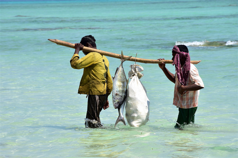 Successful Fishing trip - Havelock Island, Andamans