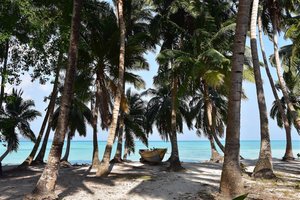 Images of Havelock Beach - The Andamans