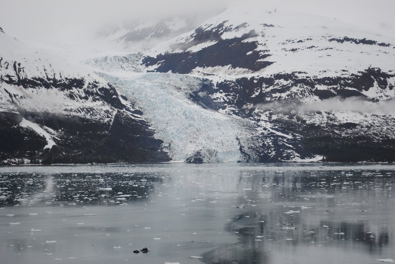 Glacier in College Fjord